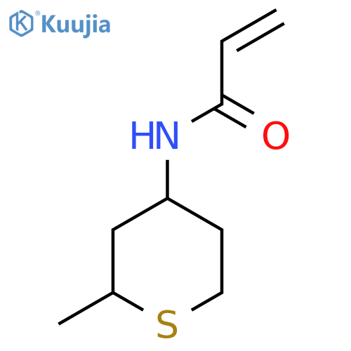 N-(2-Methylthian-4-yl)prop-2-enamide structure