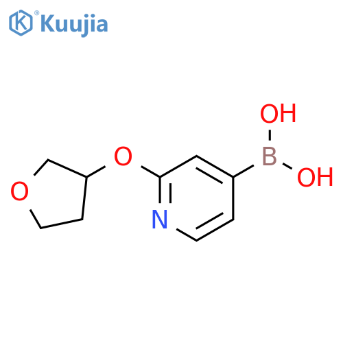 2-(Tetrahydrofuran-3-yloxy)pyridine-4-boronic acid structure