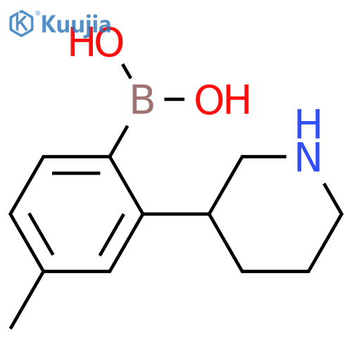2-(Piperidin-3-yl)-4-methylphenylboronic acid structure
