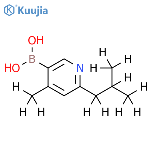[4-Methyl-6-(iso-butyl)-d12]-pyridine-3-boronic acid structure