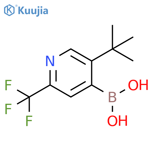 5-(TERT-BUTYL)-2-TRIFLUOROMETHYLPYRIDINE-4-BORONIC ACID structure