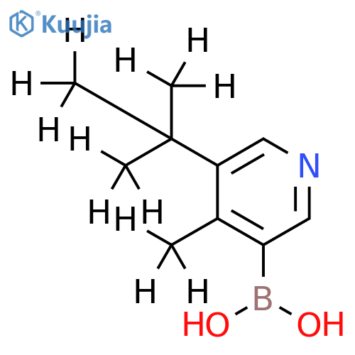 [4-Methyl-5-(tert-butyl)-d12]-pyridine-3-boronic acid structure