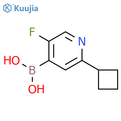 5-Fluoro-2-(cyclobutyl)pyridine-4-boronic acid structure