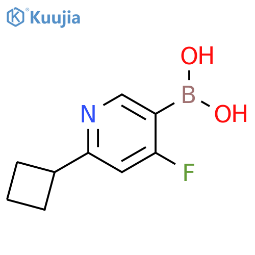 4-Fluoro-2-(cyclobutyl)pyridine-5-boronic acid structure