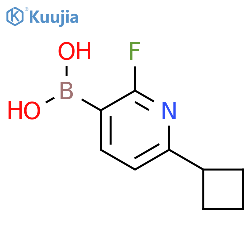 2-Fluoro-6-(cyclobutyl)pyridine-3-boronic acid structure