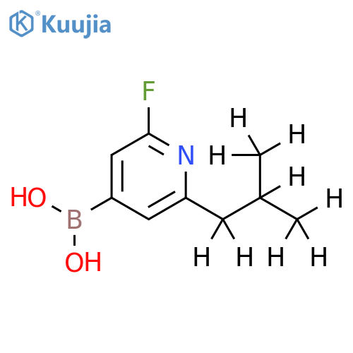 2-Fluoro-6-(iso-butyl-d9)-pyridine-4-boronic acid structure