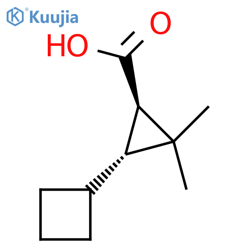 rac-(1R,3R)-3-cyclobutyl-2,2-dimethylcyclopropane-1-carboxylic acid structure