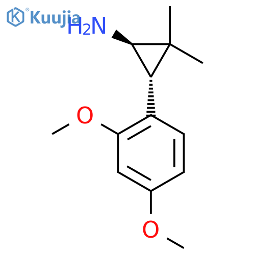 rac-(1R,3R)-3-(2,4-dimethoxyphenyl)-2,2-dimethylcyclopropan-1-amine structure