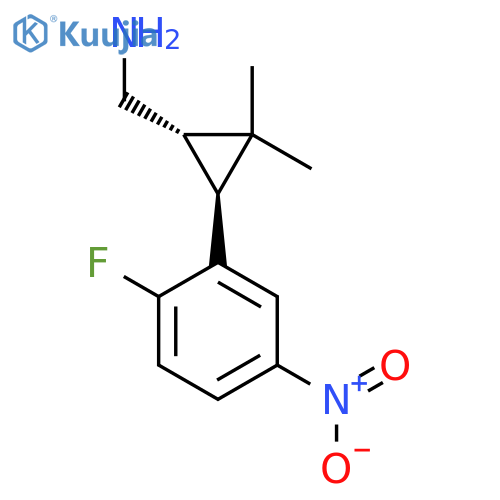 rac-(1R,3R)-3-(2-fluoro-5-nitrophenyl)-2,2-dimethylcyclopropylmethanamine structure