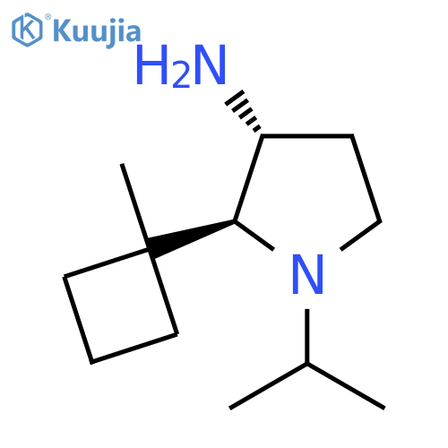 2-(1-methylcyclobutyl)-1-(propan-2-yl)pyrrolidin-3-amine structure