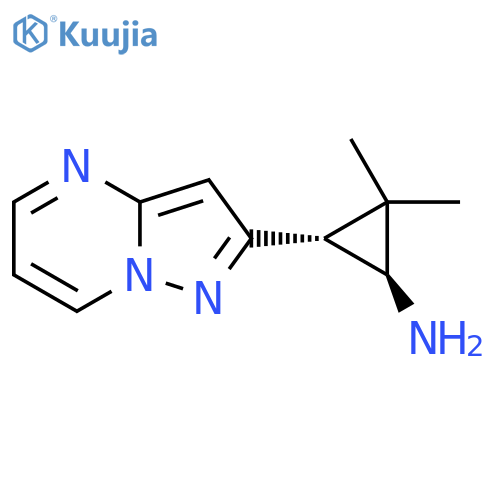 rac-(1R,3S)-2,2-dimethyl-3-{pyrazolo1,5-apyrimidin-2-yl}cyclopropan-1-amine structure