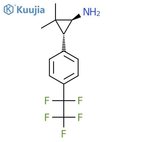 rac-(1R,3S)-2,2-dimethyl-3-4-(pentafluoroethyl)phenylcyclopropan-1-amine structure