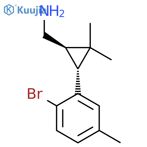 rac-(1R,3R)-3-(2-bromo-5-methylphenyl)-2,2-dimethylcyclopropylmethanamine structure