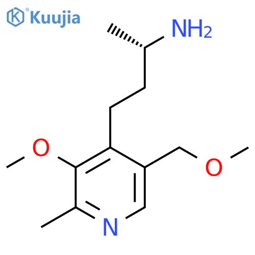 (2S)-4-3-methoxy-5-(methoxymethyl)-2-methylpyridin-4-ylbutan-2-amine structure