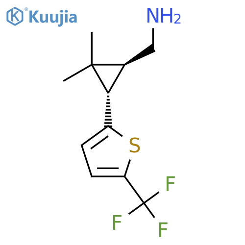 rac-(1R,3R)-2,2-dimethyl-3-5-(trifluoromethyl)thiophen-2-ylcyclopropylmethanamine structure