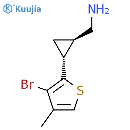 rac-(1R,2R)-2-(3-bromo-4-methylthiophen-2-yl)cyclopropylmethanamine structure