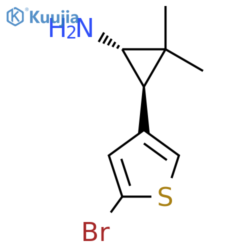rac-(1R,3R)-3-(5-bromothiophen-3-yl)-2,2-dimethylcyclopropan-1-amine structure