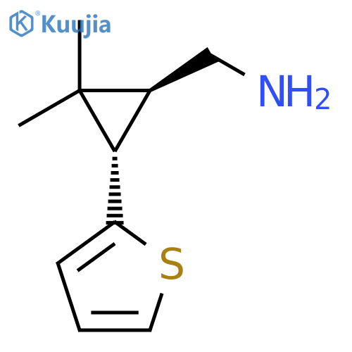 rac-(1R,3R)-2,2-dimethyl-3-(thiophen-2-yl)cyclopropylmethanamine structure