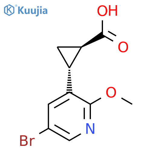 rac-(1R,2R)-2-(5-bromo-2-methoxypyridin-3-yl)cyclopropane-1-carboxylic acid structure