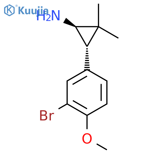 rac-(1R,3S)-3-(3-bromo-4-methoxyphenyl)-2,2-dimethylcyclopropan-1-amine structure