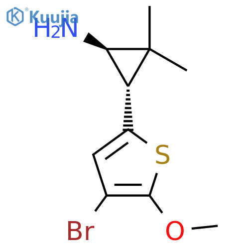 rac-(1R,3S)-3-(4-bromo-5-methoxythiophen-2-yl)-2,2-dimethylcyclopropan-1-amine structure