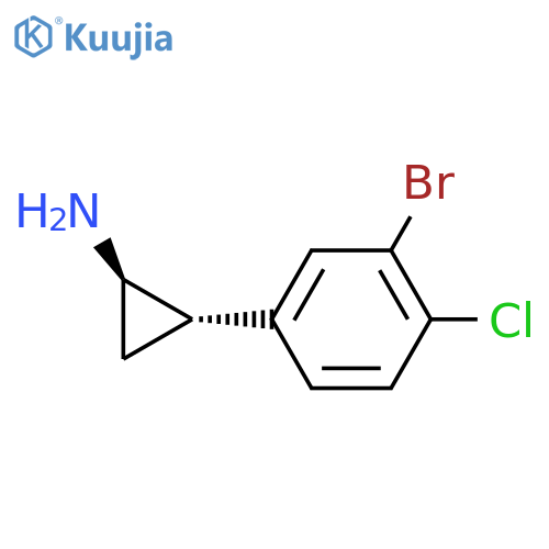 rac-(1R,2S)-2-(3-bromo-4-chlorophenyl)cyclopropan-1-amine structure
