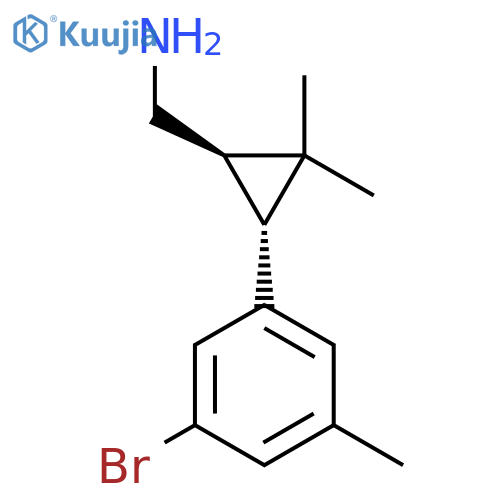 rac-(1R,3R)-3-(3-bromo-5-methylphenyl)-2,2-dimethylcyclopropylmethanamine structure