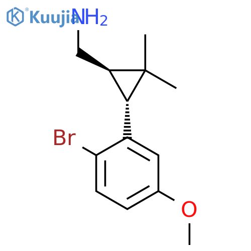 rac-(1R,3R)-3-(2-bromo-5-methoxyphenyl)-2,2-dimethylcyclopropylmethanamine structure