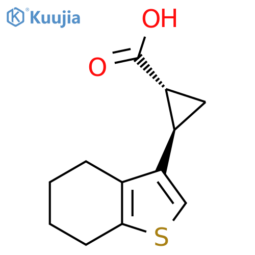 rac-(1R,2R)-2-(4,5,6,7-tetrahydro-1-benzothiophen-3-yl)cyclopropane-1-carboxylic acid structure