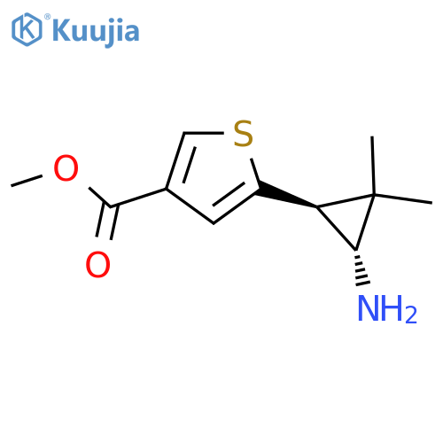 rac-methyl 5-(1R,3S)-3-amino-2,2-dimethylcyclopropylthiophene-3-carboxylate structure