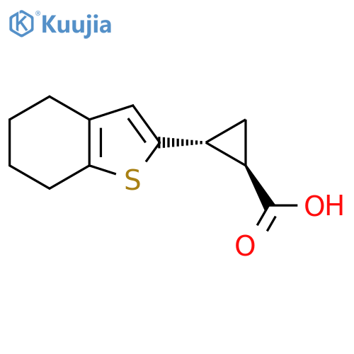 rac-(1R,2R)-2-(4,5,6,7-tetrahydro-1-benzothiophen-2-yl)cyclopropane-1-carboxylic acid structure