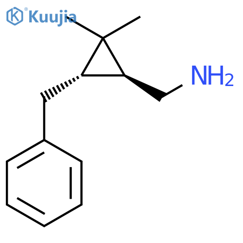 rac-(1R,3R)-3-benzyl-2,2-dimethylcyclopropylmethanamine structure
