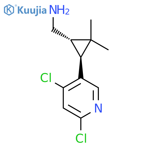 rac-(1R,3R)-3-(4,6-dichloropyridin-3-yl)-2,2-dimethylcyclopropylmethanamine structure