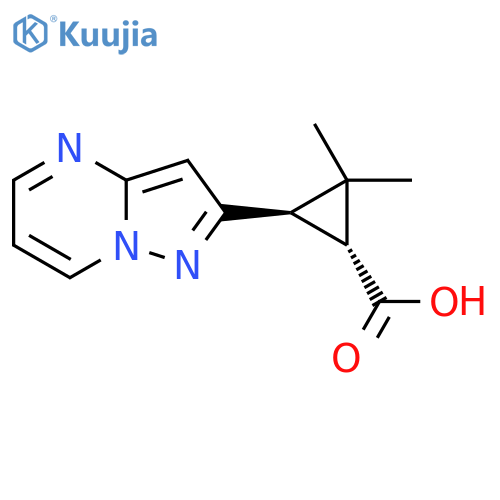 rac-(1R,3R)-2,2-dimethyl-3-{pyrazolo1,5-apyrimidin-2-yl}cyclopropane-1-carboxylic acid structure