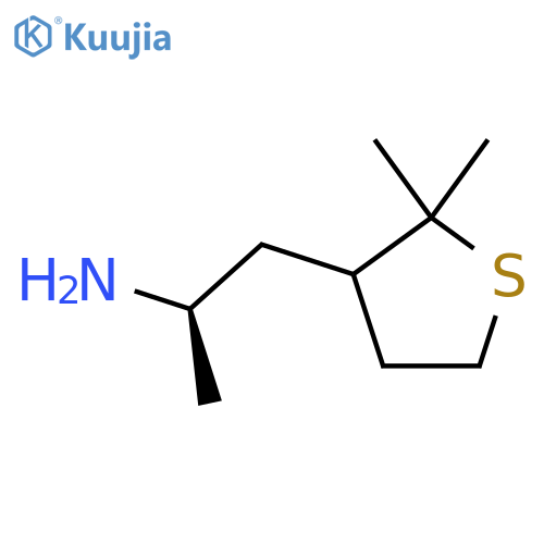 (2R)-1-(2,2-dimethylthiolan-3-yl)propan-2-amine structure