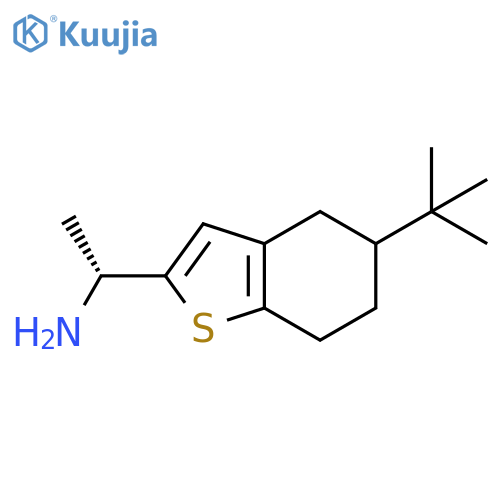 (1R)-1-(5-tert-butyl-4,5,6,7-tetrahydro-1-benzothiophen-2-yl)ethan-1-amine structure