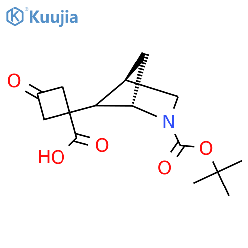 1-(1S,4R)-2-(tert-butoxy)carbonyl-2-azabicyclo2.1.1hexan-5-yl-3-oxocyclobutane-1-carboxylic acid structure