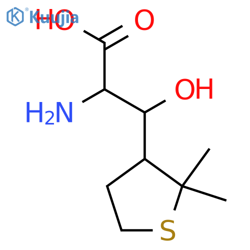 2-amino-3-(2,2-dimethylthiolan-3-yl)-3-hydroxypropanoic acid structure