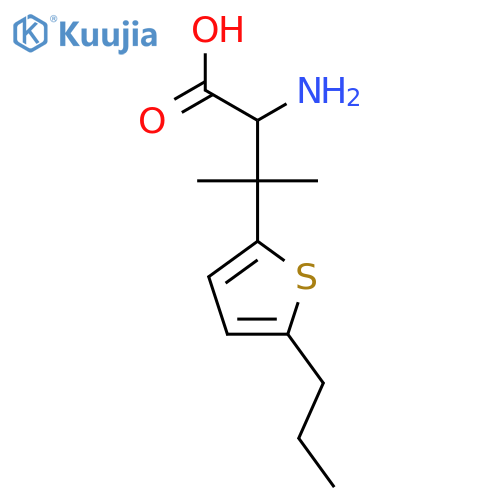 2-amino-3-methyl-3-(5-propylthiophen-2-yl)butanoic acid structure