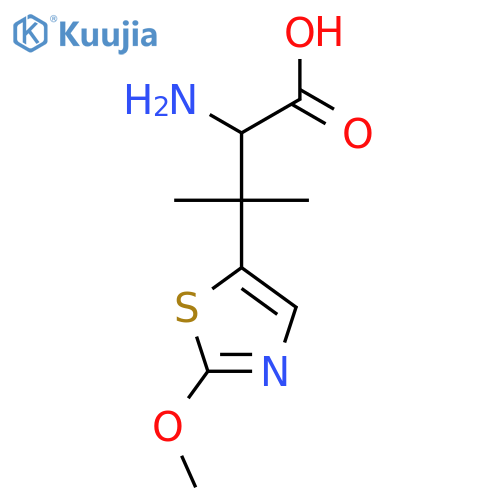2-amino-3-(2-methoxy-1,3-thiazol-5-yl)-3-methylbutanoic acid structure