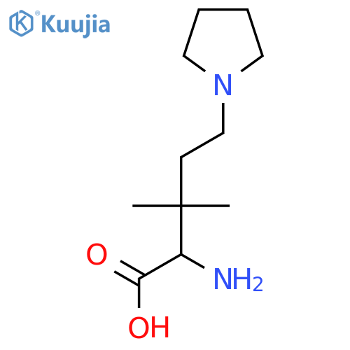 2-amino-3,3-dimethyl-5-(pyrrolidin-1-yl)pentanoic acid structure
