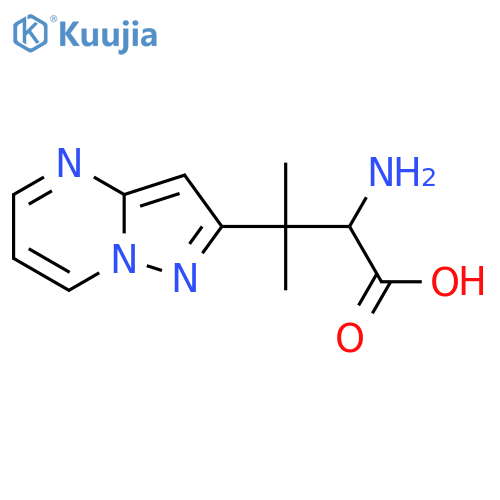 2-amino-3-methyl-3-{pyrazolo1,5-apyrimidin-2-yl}butanoic acid structure