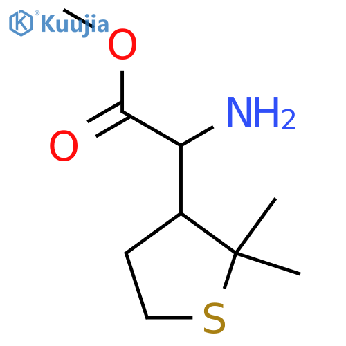 methyl 2-amino-2-(2,2-dimethylthiolan-3-yl)acetate structure