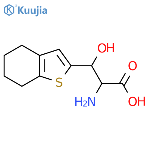 2-amino-3-hydroxy-3-(4,5,6,7-tetrahydro-1-benzothiophen-2-yl)propanoic acid structure