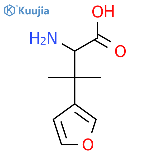 2-amino-3-(furan-3-yl)-3-methylbutanoic acid structure