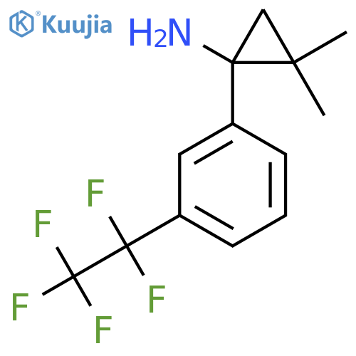 2,2-dimethyl-1-3-(pentafluoroethyl)phenylcyclopropan-1-amine structure