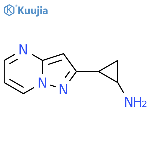 2-{pyrazolo1,5-apyrimidin-2-yl}cyclopropan-1-amine structure