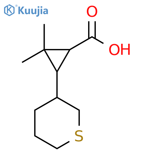 2,2-dimethyl-3-(thian-3-yl)cyclopropane-1-carboxylic acid structure