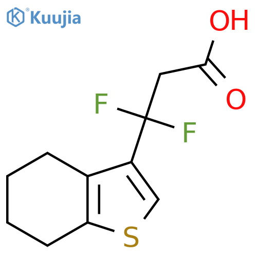 3,3-difluoro-3-(4,5,6,7-tetrahydro-1-benzothiophen-3-yl)propanoic acid structure