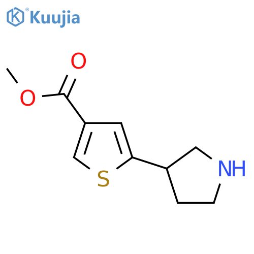 Methyl 5-(pyrrolidin-3-yl)thiophene-3-carboxylate structure